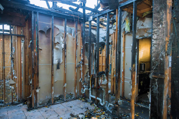 Professional Soot Cleanup technician working in Watkins, MN